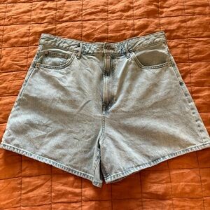 Everlane A-line Denim Shorts